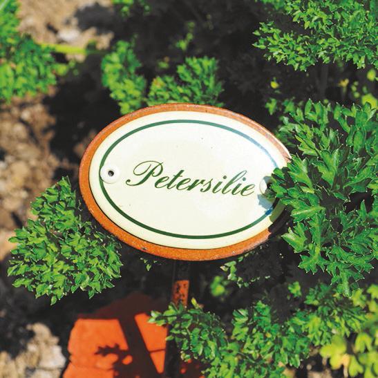 Oval enamel sign, 6 x 4 cm, herb names with ground spike 25 cm