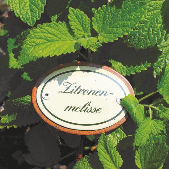 Oval enamel sign, 6 x 4 cm, herb names with ground spike 25 cm