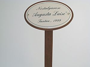 Oval enamel sign, 10.5 x 7 cm, rose name with ground spike 50 cm