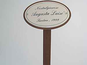 Emailschild oval, 10,5 x 7 cm, Rosennamen mit Erdspieß 50 cm