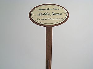 Enamel sign oval, 10.5 x 7 cm, Rambler Rose, Bobbie James with ground spike 50cm