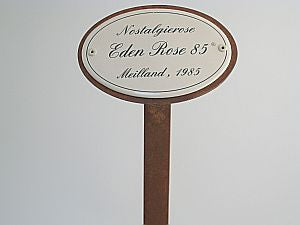 Oval enamel sign, 10.5 x 7 cm, rose name with ground spike 50 cm