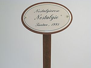 Oval enamel sign, 10.5 x 7 cm, rose name with ground spike 50 cm