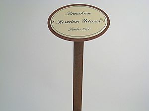 Oval enamel sign, 10.5 x 7 cm, rose name with ground spike 50 cm